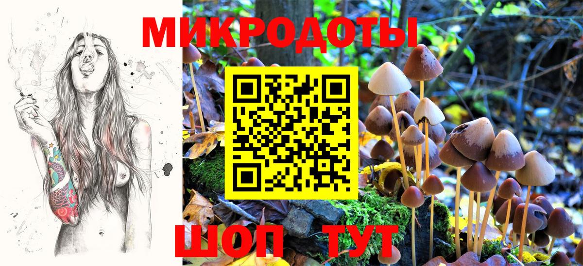 Галлюциногенные грибы Psilocybe Добрянка